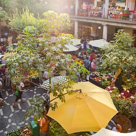 度假居 Casa Caetano By An Island